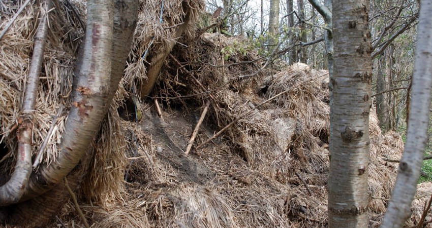 thumbnail_adAffaldsdeponiD i Kjeldseåen 260416 (110).jpg