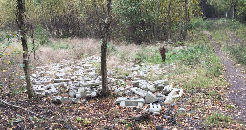 thumbnail_Vellensby beton i skovbund.jpg