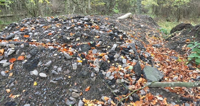 thumbnail_Vellensby bunker m asfalt i skovbund.jpg