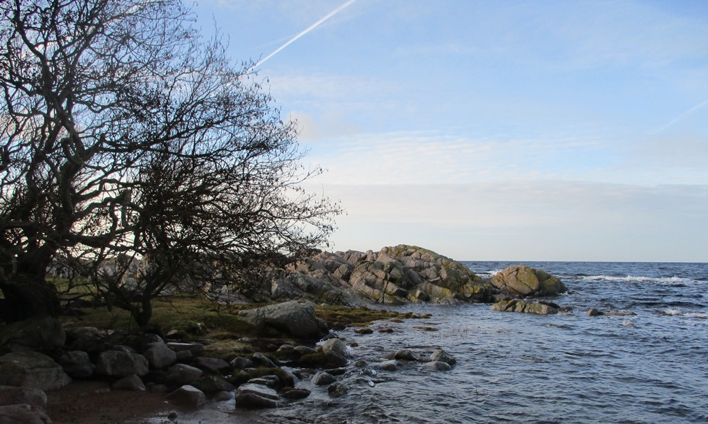 hammerodde