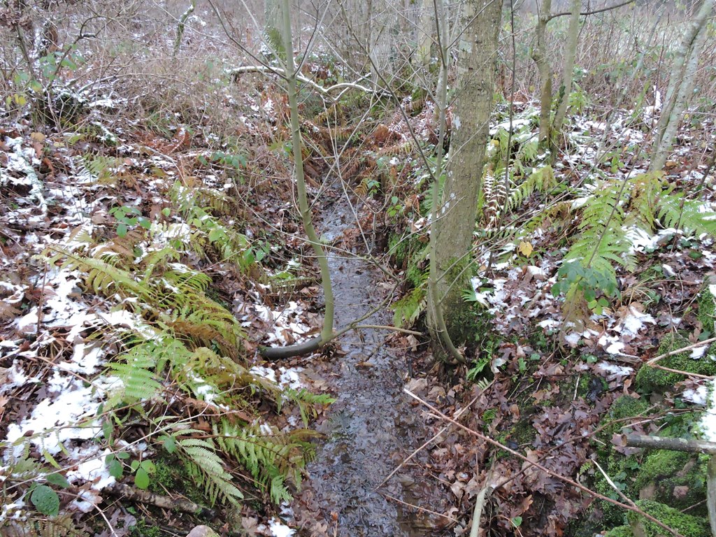 Miljø- og Fødevareministeriet vil forringe beskyttelsen af naturen i 7 små vandløb på Bornholm.