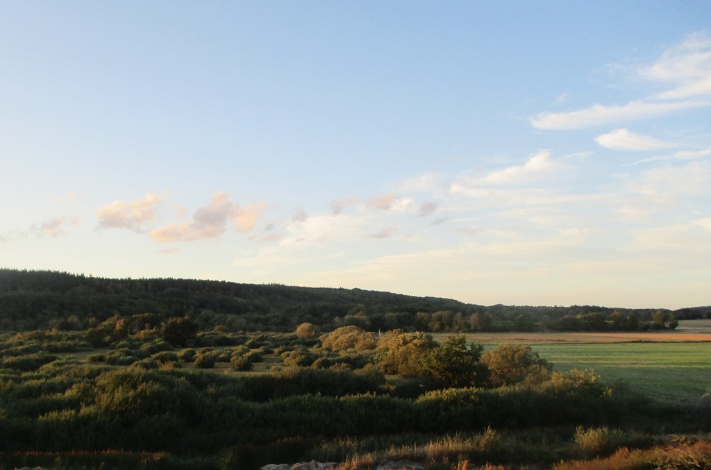 Sådan påvirkede tørken naturen.